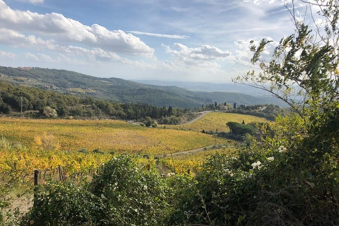 Tuscany off the beaten paths - Castellina in Chianti: A Family Winery Visit With Pairing