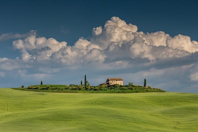 Tuscany Tour Siena - San Gimignano - Winery - Duomo di Siena: Gothic art, marble colors, and the floor under your feet