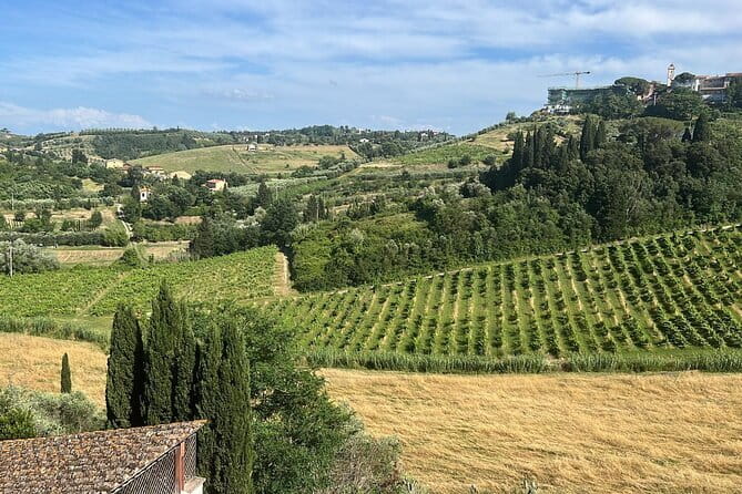 Tuscany Tour Siena - San Gimignano - Winery - Chianti on the road: cellar visits and a wine taste lunch