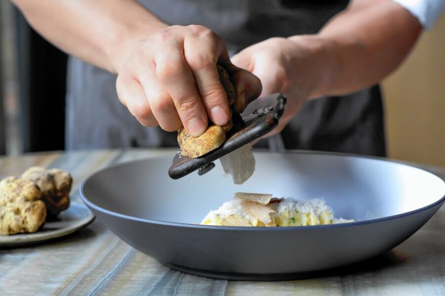 Tuscany: Truffle Hunting and Meal at a Winery - Should You Book This Truffle Hunting and Winery Meal?