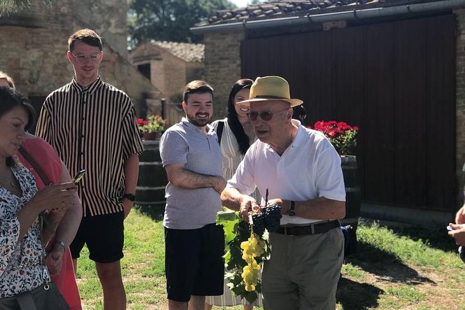 Tuscany Wine & Hills from Florence - Small Group - The Real Appeal: Wine Roads, UNESCO Countryside, and Hill Town Time
