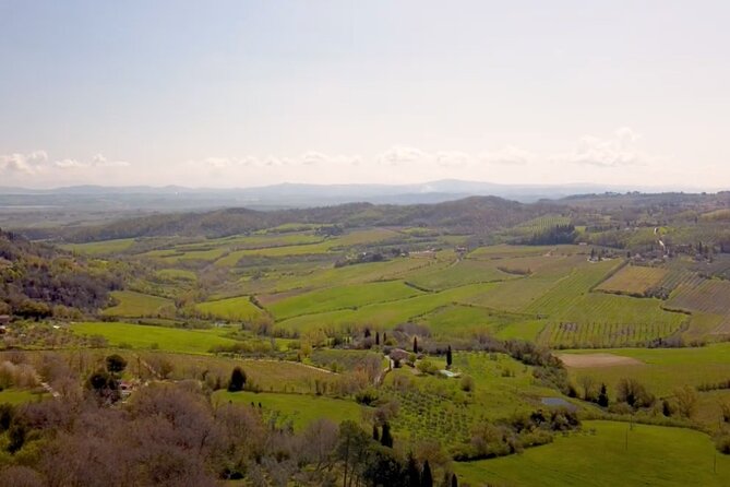 Tuscany Wine & Hills from Florence - Small Group - Food, Snacks, and the Wine Pairing You Actually Get