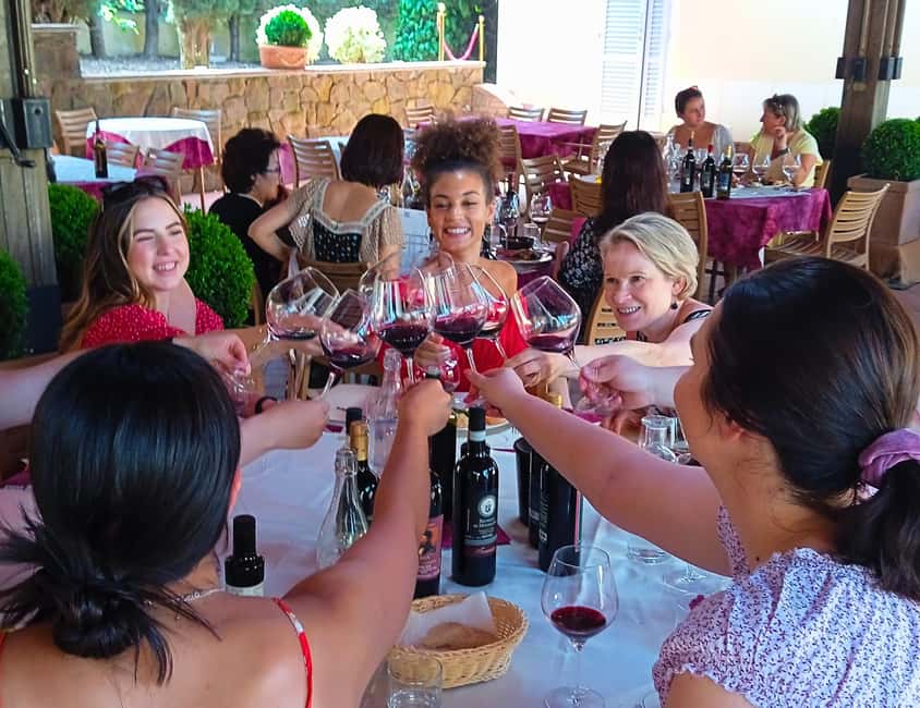 Tuscany Wine Tour: 2 Wineries & San Gimignano from Florence - Who this Tuscany wine tour fits best