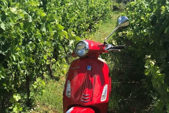 Vespa Motorcycle rental in Florence - How the Vespa Rental Works (And Why It’s Worth It)
