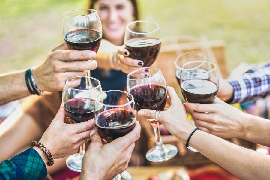 Vinci: The Footsteps of Leonardo and Wine Tasting Tour - Key things I’d circle before you book