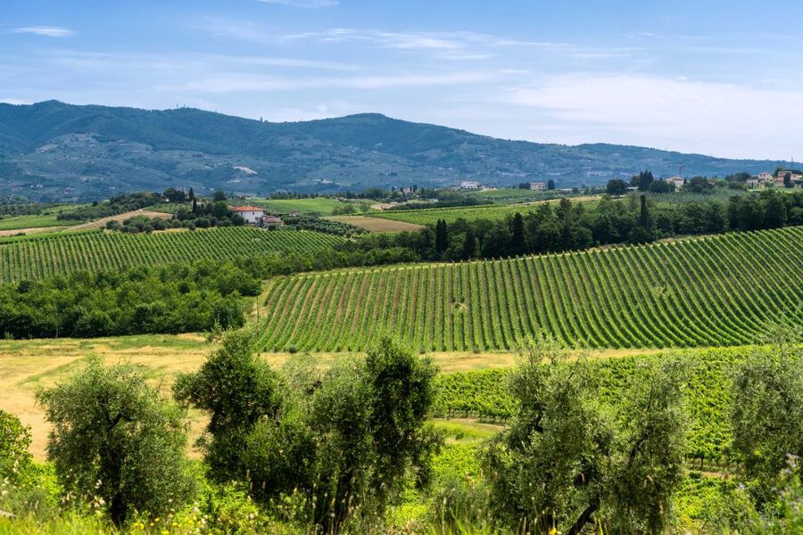 Vinci: The Footsteps of Leonardo and Wine Tasting Tour - Logistics that affect the day (and your comfort)
