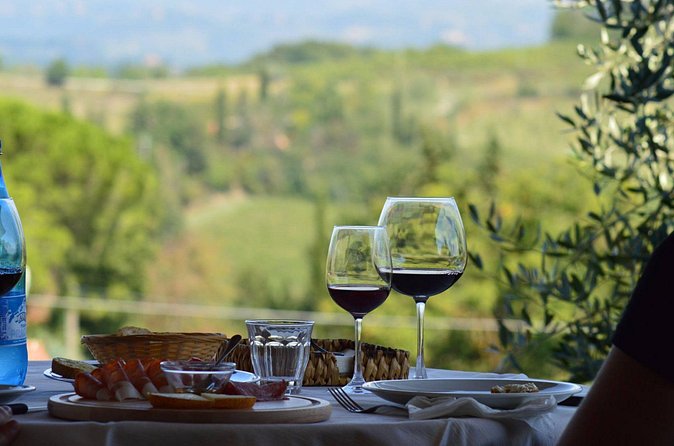 Vineyard visit with local appetisers and wine tasting - Timing, group size, and transport: the practical side you should plan for