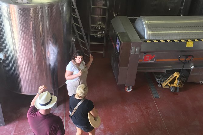 Vineyard visit with local appetisers and wine tasting - Inside the itinerary: history, grapes, cellar, then the tasting