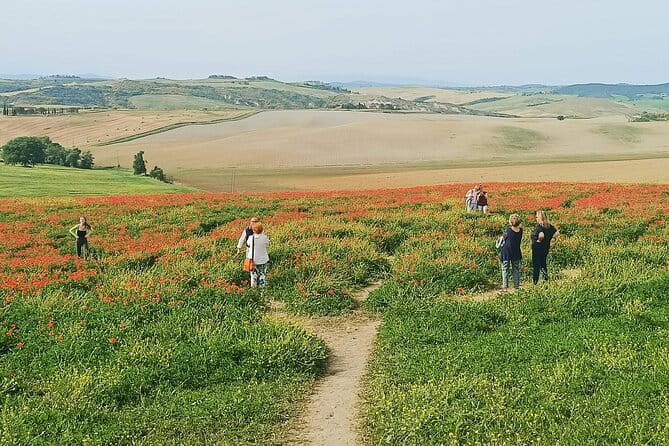 VIP Brunello Montalcino, Montepulciano & Val d'Orcia with Lunch - Florence to Montalcino: how the “VIP” part really works