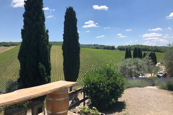 Visit Of The Chianti Classico And The Tuscan Countryside - Key things that make this tour worth your time
