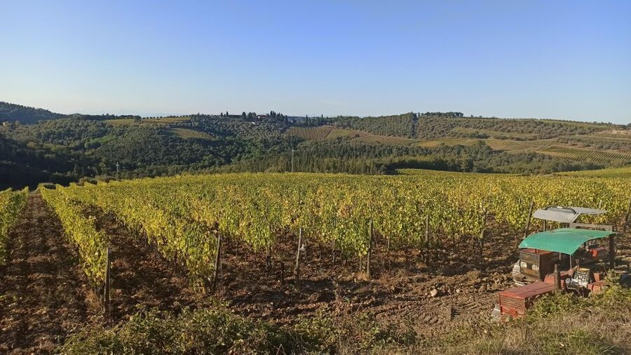 Visit Siena and San Gimignano with lunch at a family farm - How the 7-Hour Schedule Works (and Where You Can Slow Down)