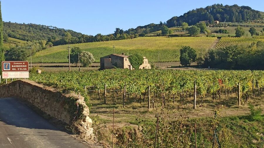 Visit Siena and San Gimignano with lunch at a family farm - Who This Tour Fits Best