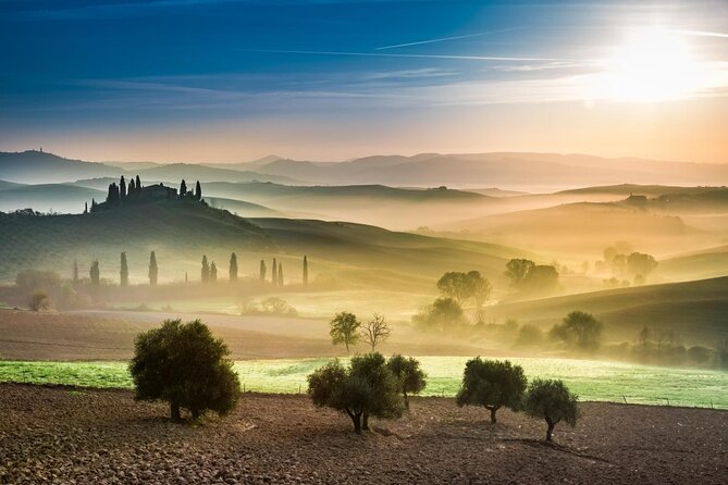 Visit to the Cellar with Wine & Food Tasting over the Val d'Orcia - Key highlights worth planning for
