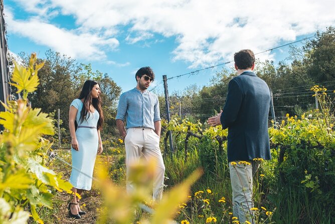 Visit to the Cellar with Wine & Food Tasting over the Val d'Orcia - The wider Tuscany viewpoints: what those stop names mean for your day