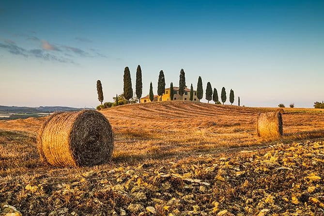 Walking Food Tour of Florence with Tastings and Wine - Vegetarian and Dietary Requests: How to Get the Course You’ll Enjoy