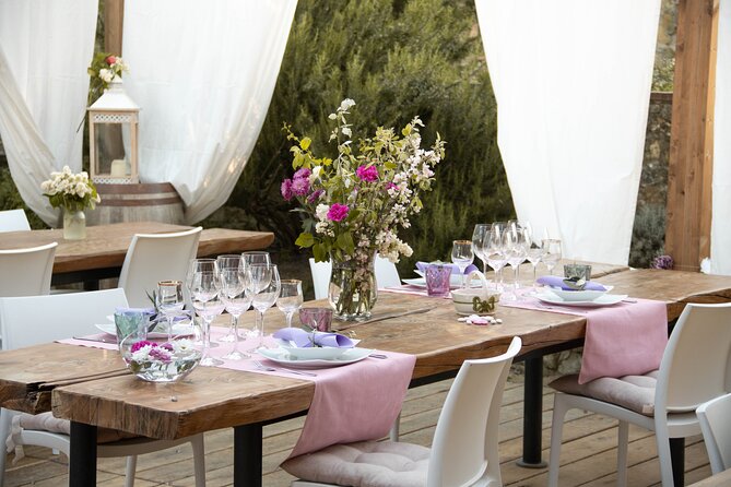 Wine and food tasting in an organic family winery - Pickup, timing, and what to plan for on the day