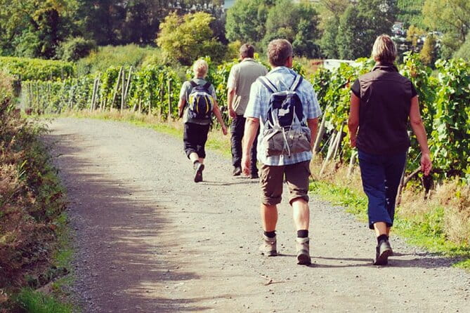 Wine Hiking Sip & Trek - Key highlights worth getting excited about