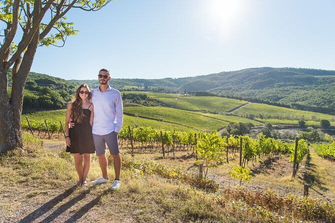 Wine Hiking Sip & Trek - Vineyards, Forest Paths, and Olive Groves: What Your Legs Will Do