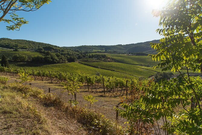 Wine Hiking Sip & Trek - The Montespertoli Walking Start: Views, Hills, and a Real Tuscany Welcome