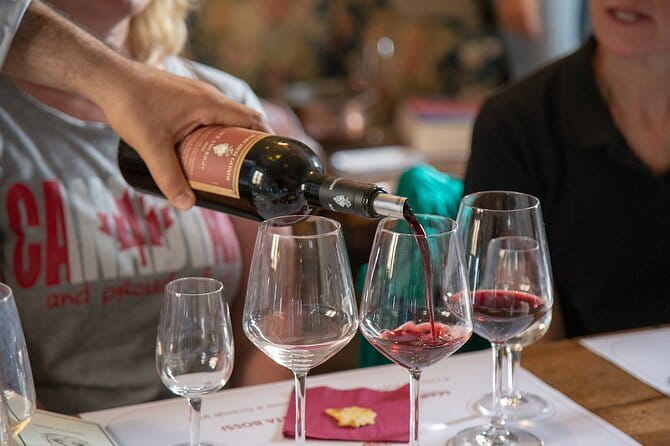Wine Tasting Activity at Chianti Rufina - From Pontassieve meeting point to the Tenuta setting
