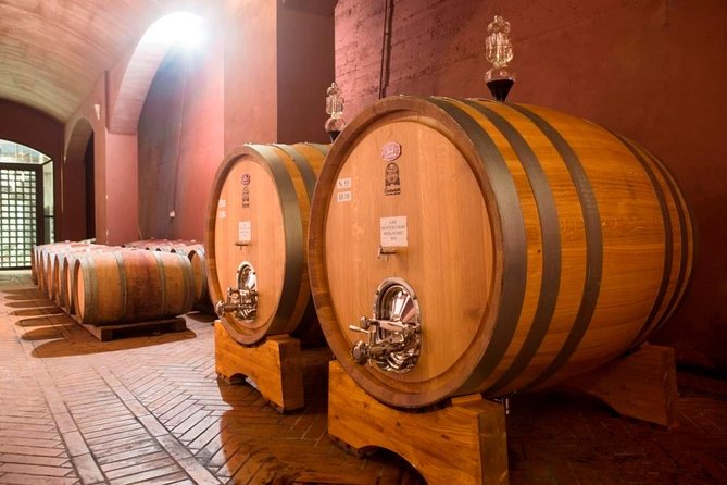 Wine tasting and guided tour of the cellar - Fattoria Sorbaiano: a DOC Montescudaio farm you’ll understand fast