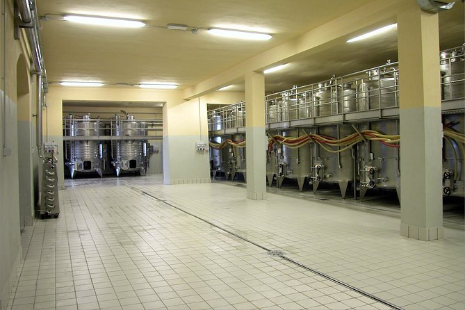 Wine tasting and guided tour of the cellar - Getting there from Montecatini Val di Cecina: make it easy on yourself