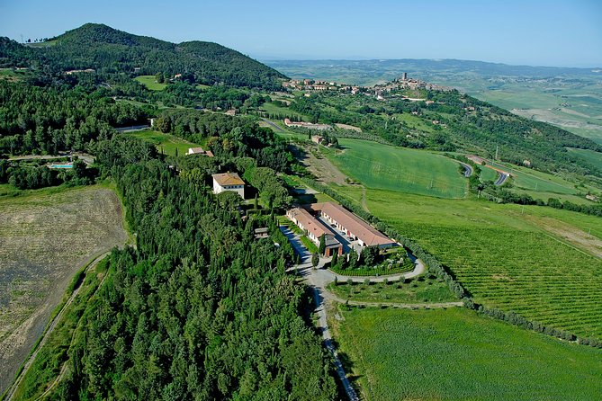 Wine tasting and guided tour of the cellar - Who this tour fits best (and who might want a different format)