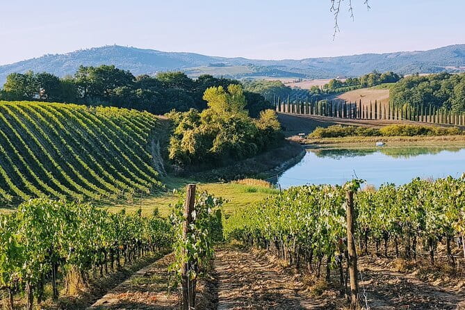 Wine Tasting by CarusVini in San Casciano in val di Pesa - Price and Value: When $18.07 Makes Sense