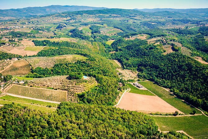 Wine Tasting by CarusVini in San Casciano in val di Pesa - Rainy Day Planning: Garden vs. Barrel Cellar