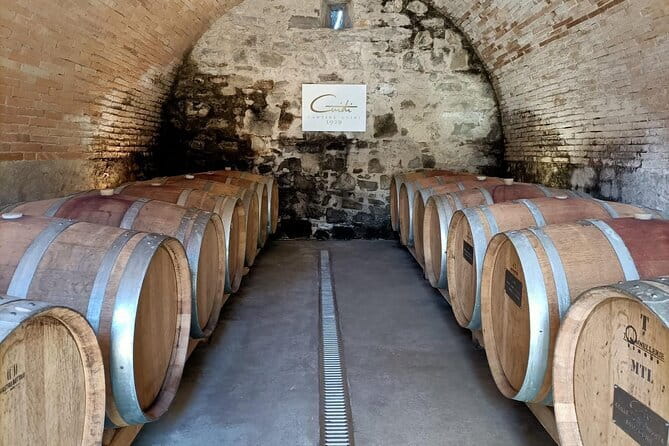 Wine Tasting Experience in Ponte Vecchio: Best Tuscany selection! - How Italian Wine Actually Gets Made (Grown, Aged, Bottled)