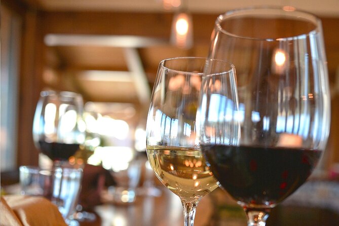 Wine Tasting in Historic Open-Lounge room - Getting to Tenuta Torciano: simple arrival near San Gimignano