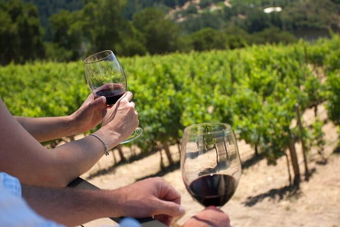 Wine tasting in TWO family wineries around Florence - Key highlights (what makes this day work)