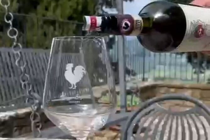 Wine tasting in TWO family wineries around Florence - Montefioralle: family winery tastings with medieval-village views