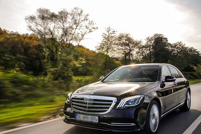 Wine Tasting & Shuttle Service - Key highlights at Tenuta Torciano