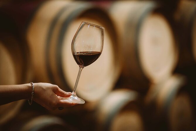 Wine Tasting & Shuttle Service - The short estate walk at Tenuta Torciano