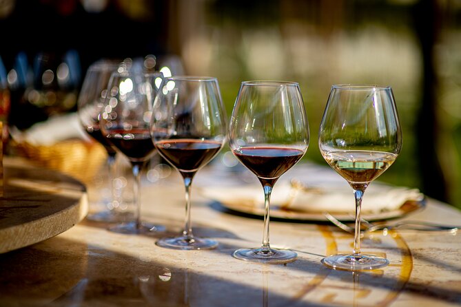 Wine Tasting & Shuttle Service - Two wine-school lessons: etiquette and manners that actually help