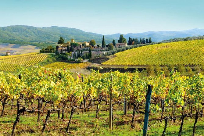 Wine Tasting & Tuscany Countryside, San Gimignano & Volterra - Should you book this Volterra–San Gimignano wine day?