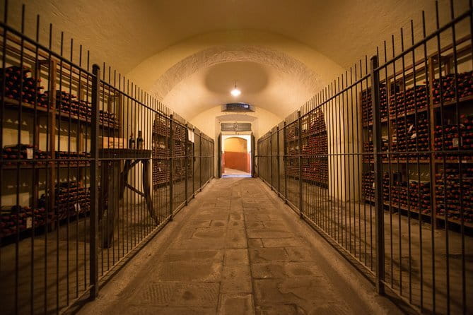 Wine Tour Experience - Quick hits: what makes Tenuta di Capezzana different