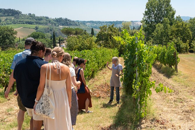 Wine Tour with Lunch and Wine Tasting - Meeting at 12:00 and getting there without stress