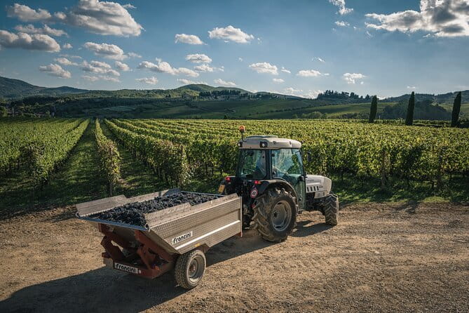 Wineries Tour and Wine Tastings in Chianti Hills from Florence - The Gran Turismo bus: comfort and the Wi‑Fi check