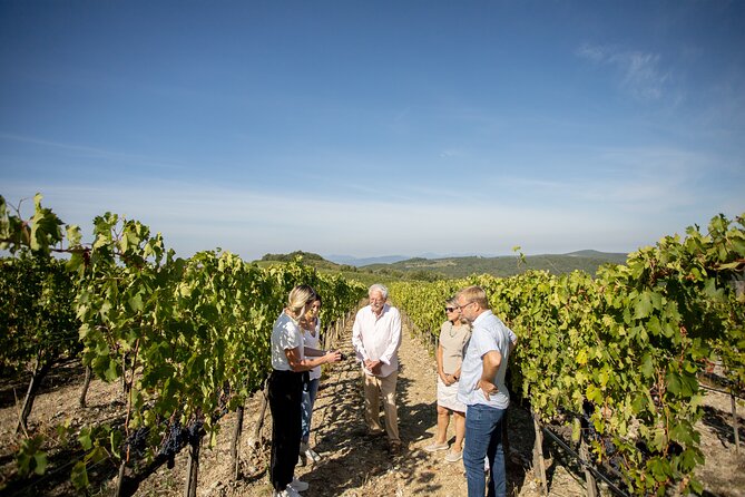 Winery Tour & Gourmet Tasting in Montalcino - The Guided Tasting Room: 6 Wines, 3 Flights, and 6 Gourmet Bites