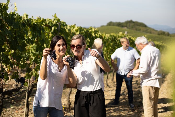 Winery Tour & Gourmet Tasting in Montalcino - Small Moments That Make It Feel Human (Like the Cat)