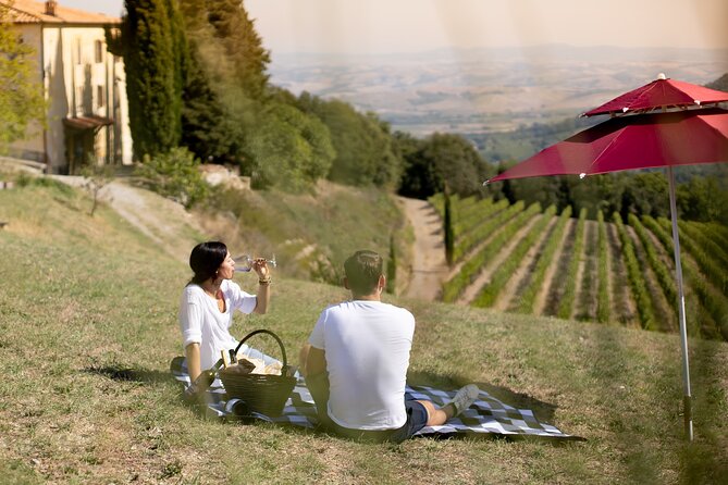 Winery Tour & picnic in the vineyard with a bottle of wine - Val d’Orcia stop: why this brief regional pause is worth it