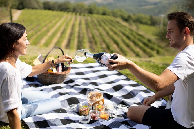 Winery Tour & picnic in the vineyard with a bottle of wine - What to expect on the ground: timing, pace, and group size