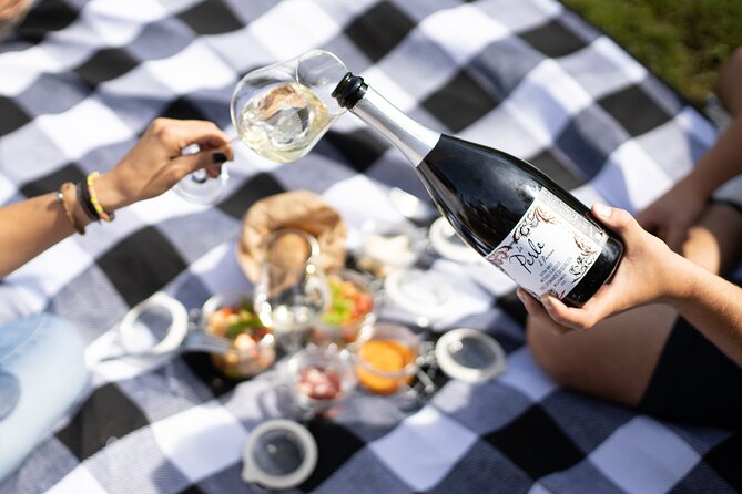 Winery Tour & picnic in the vineyard with a bottle of wine - After the tour: picnic in the vineyard with Tuscan specialties