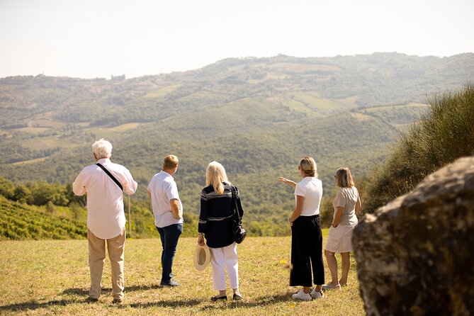 Winery tour & wine tasting in Montalcino - Corte Pavone’s Montalcino setting: why this tour works in real life
