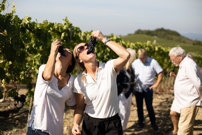 Winery tour & wine tasting in Montalcino - Tasting setup: 6 wines in 3 flights, plus 4 tasting options