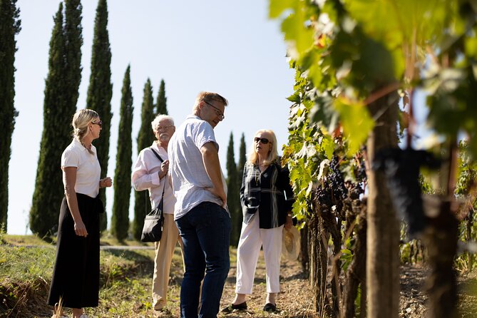 Winery tour & wine tasting in Montalcino - Price and value: $47.93 for 1 hour 45 minutes