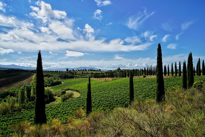 Winery tour & wine tasting in Montalcino - Practical tips to get more out of your tasting