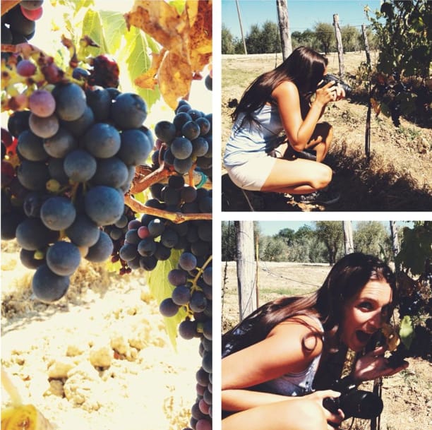 YOUR HONEYMOON IN TUSCANY: Private Chianti Wine Tasting Tour - Two Wine Tastings in Chianti: Vernaccia, Chianti Varieties, and Supertuscan
